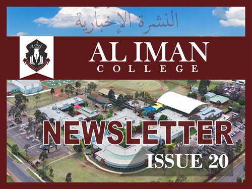 AIC Newsletter Issue 20